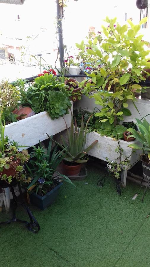 Apartamento Árbol de vida Sevilla Exterior foto