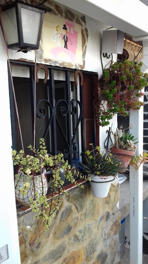 Apartamento Árbol de vida Sevilla Exterior foto
